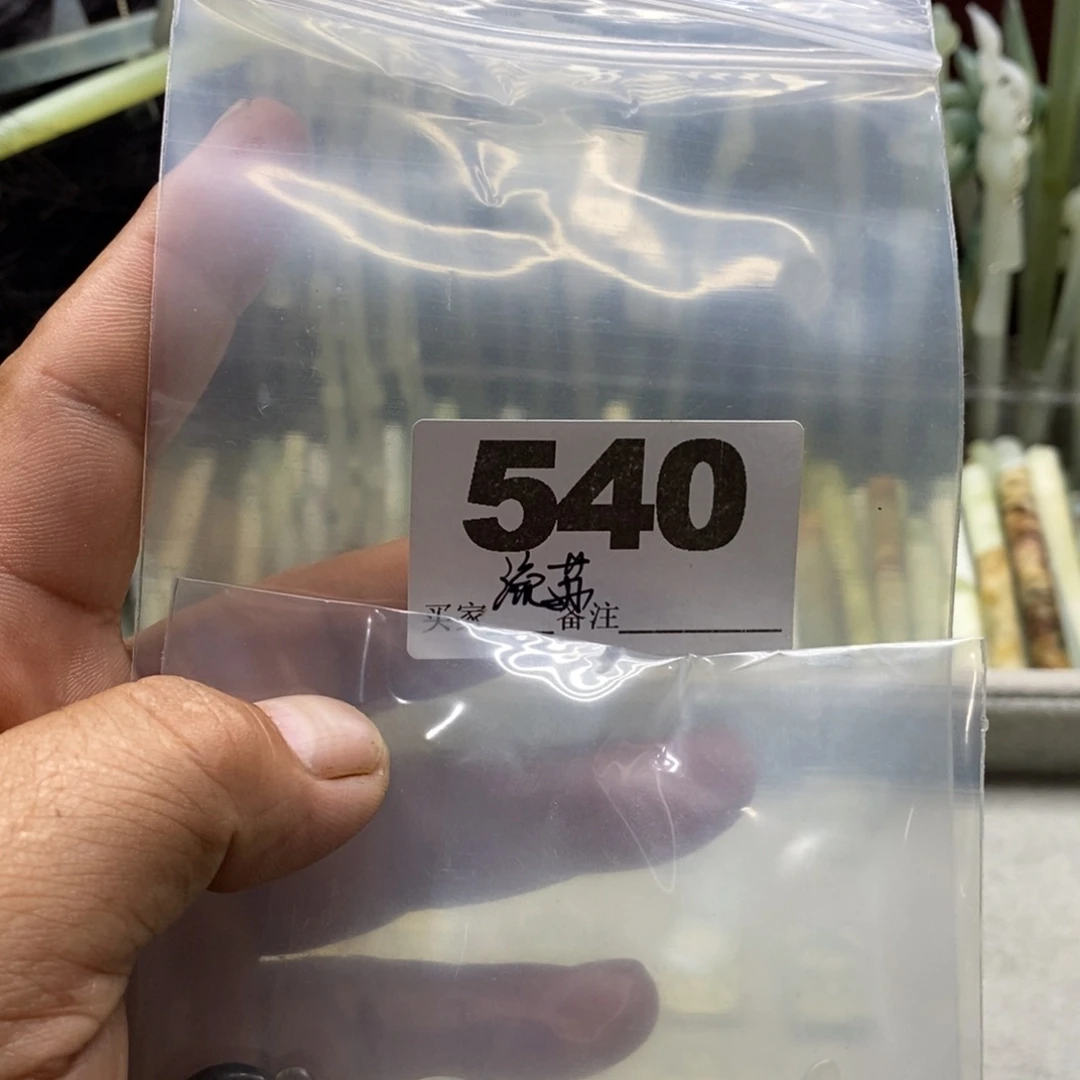 贪***念蛇纹石玉合金颈饰