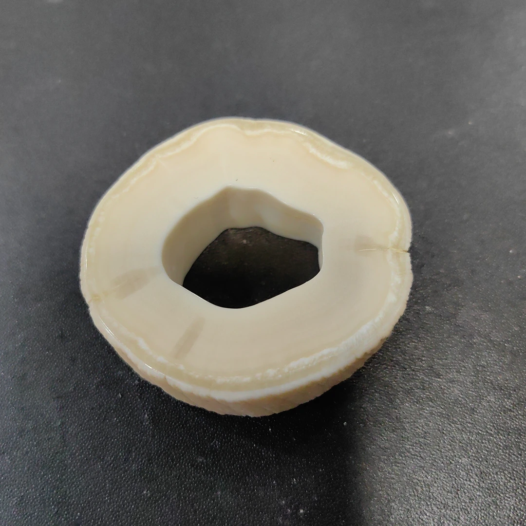 猛犸猛犸独饼子  WT96