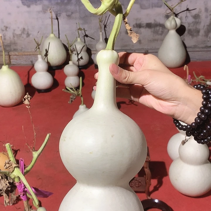 李***江中号现货秒杀现货