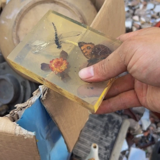 你***！杂色豆（科檀/科特迪瓦檀木）