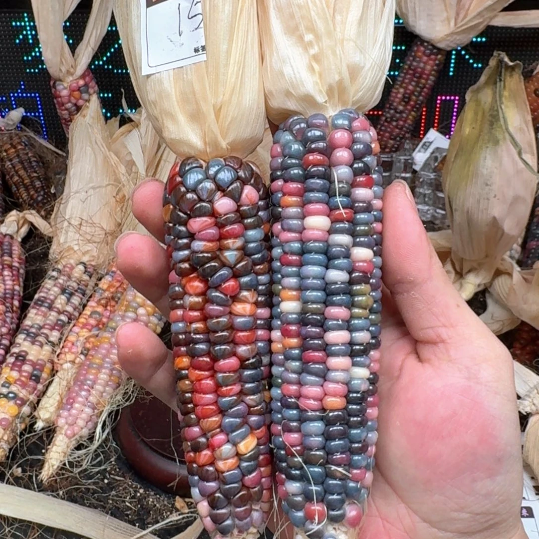 柏香籽/百香籽吊坠莫*，