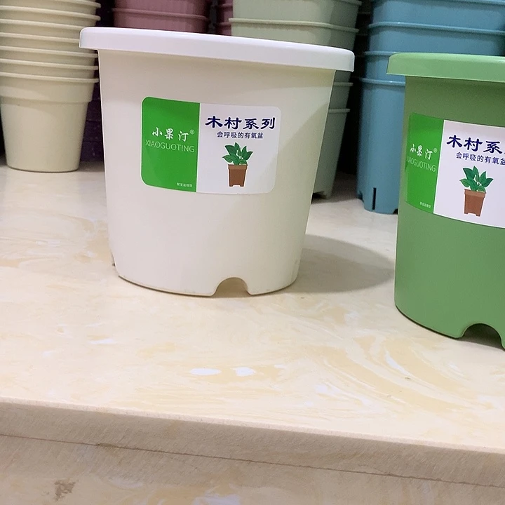 小果汀15口白10个