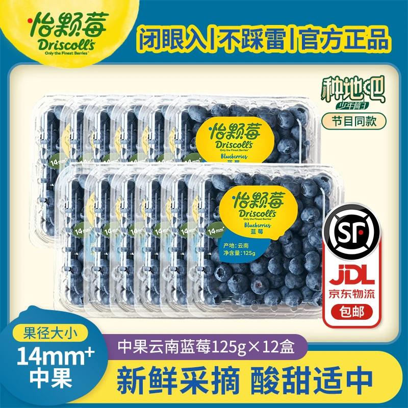 【飞哥专属】怡颗莓云南蓝莓中果125g*12盒 官方直发 新鲜采摘