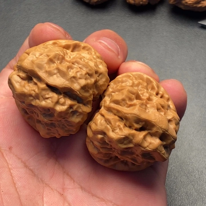 41尺寸884蛤蟆头蛙