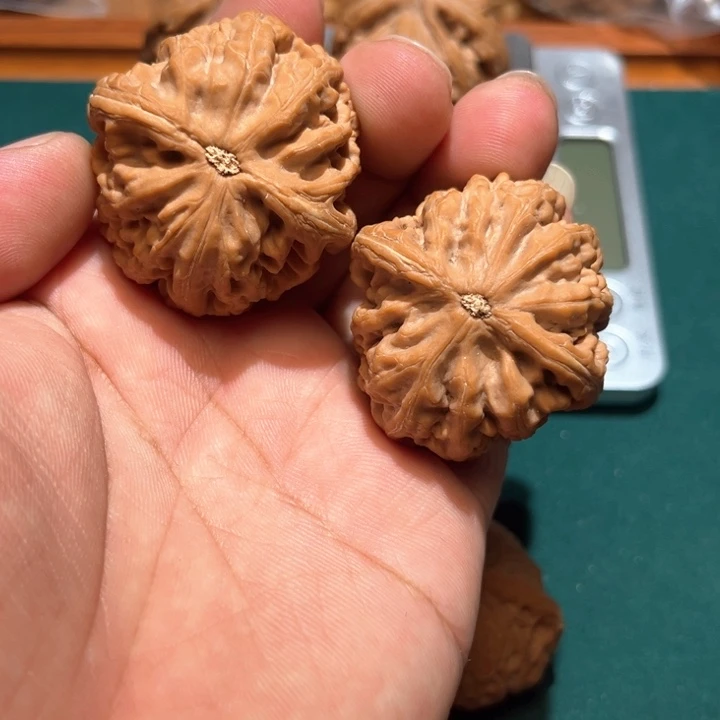 球***机文玩核桃把件你文玩核桃手把件红锦鲤