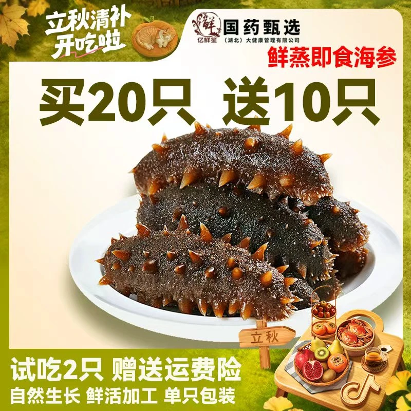 【大头2025年头茬秋参】鲜蒸辽刺参鲜食即食海参高品质买20送10只