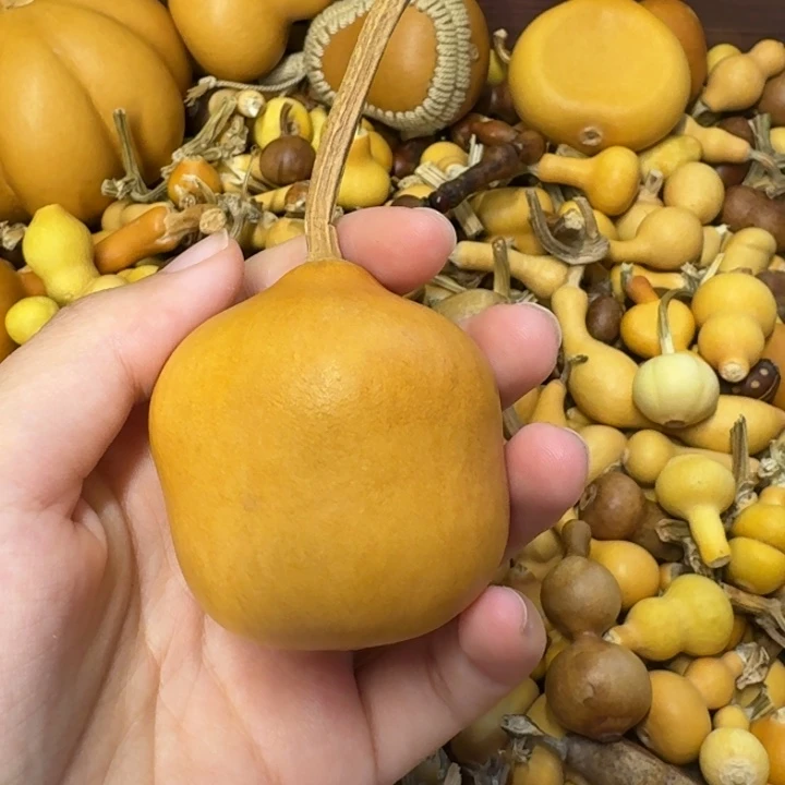 葫芦葫芦葫芦不包邮