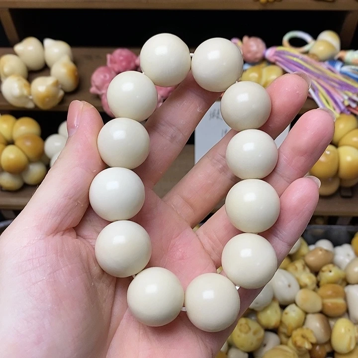 吊坠菩提根/象牙果