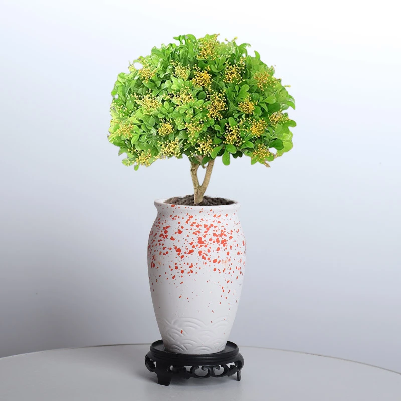 素烧陶罐大花瓶摆件客厅落地插花装饰品简约绿植陶瓷花器花盆老桩