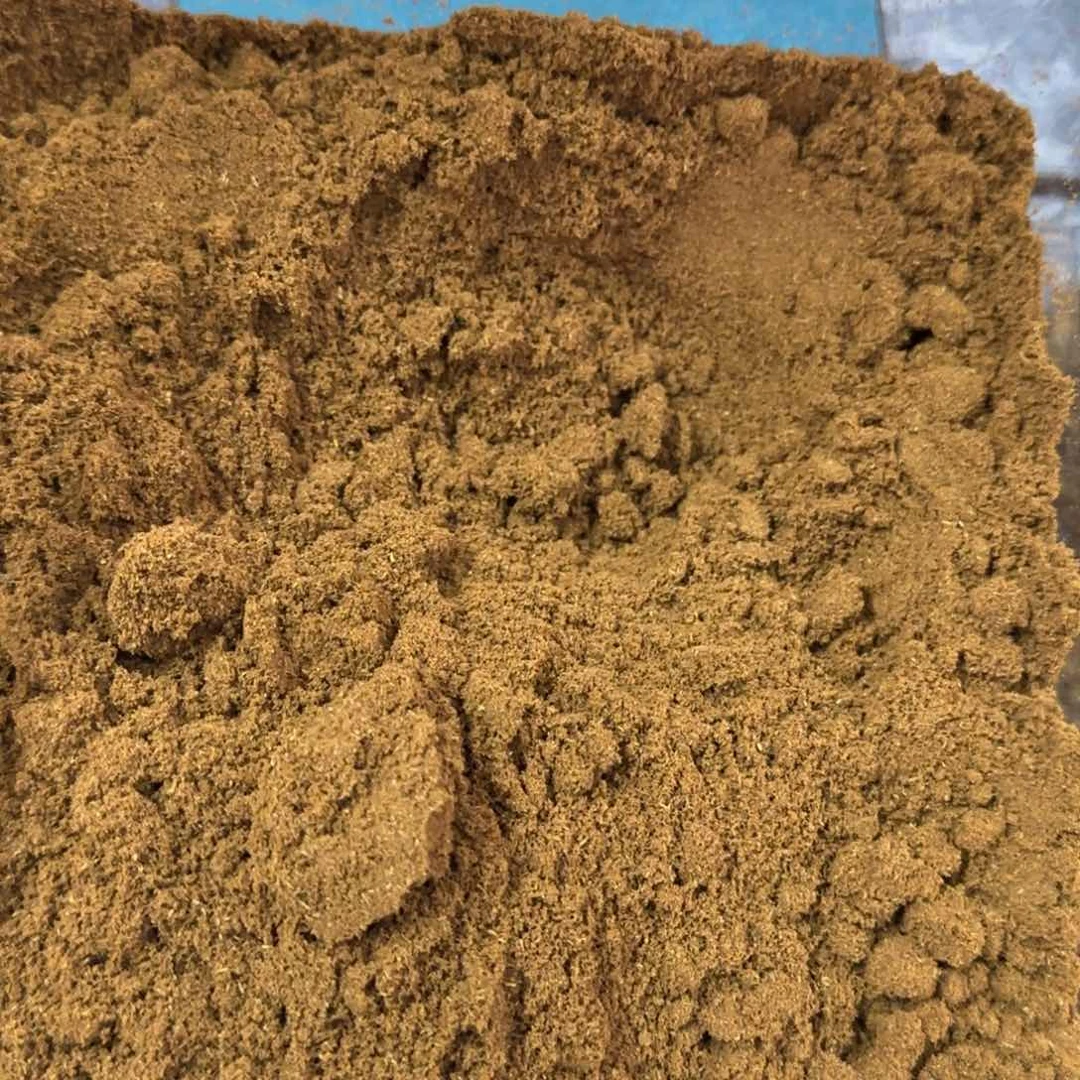 木奇楠金沙叶沉水粉末50克