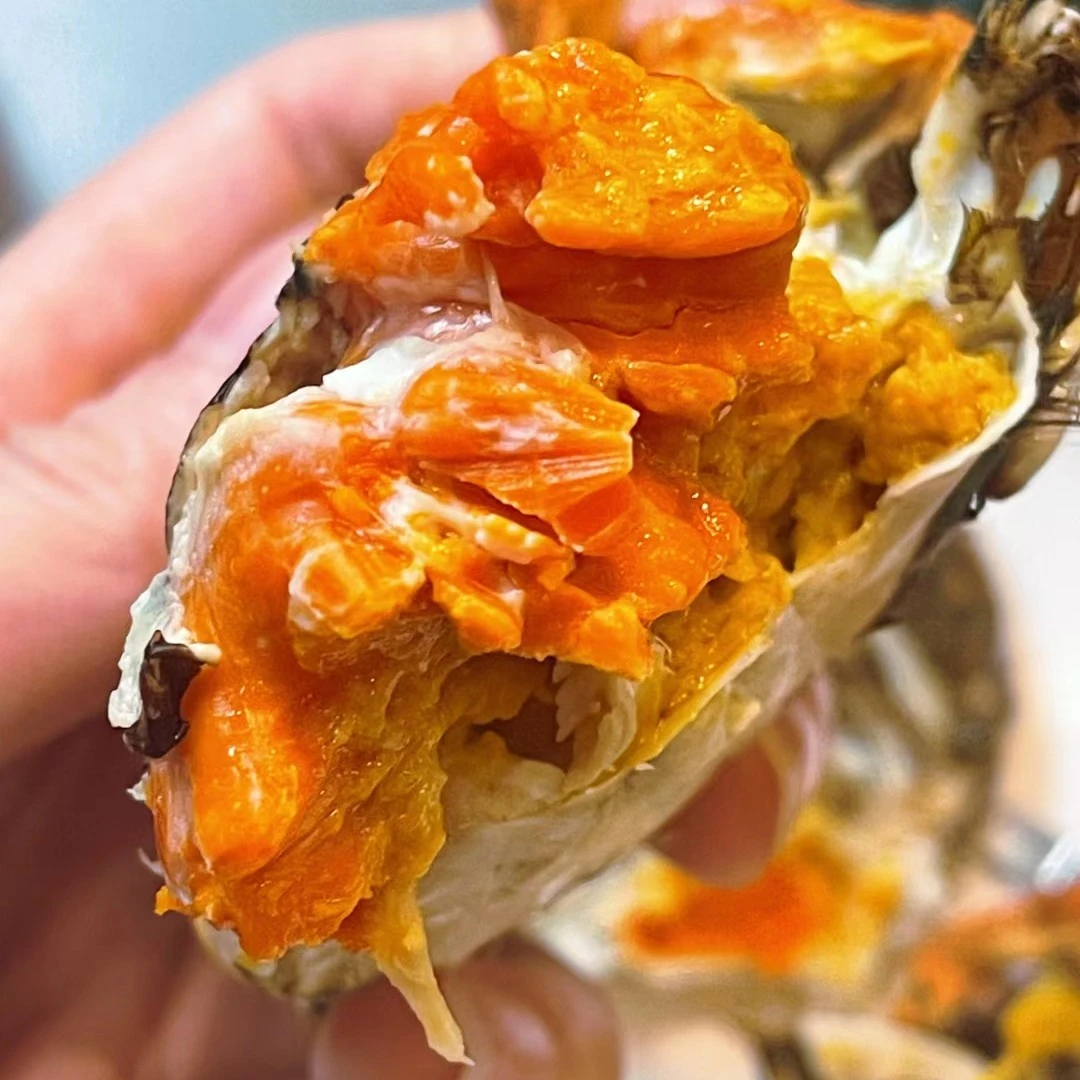 2.5两母，6只，包活包黄包，太肥了太肥了宝贝们