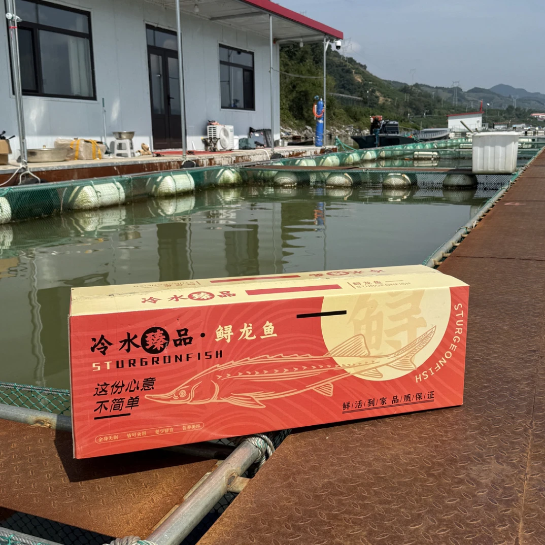 鸭绿江冷水鲟龙鱼中秋改价链接