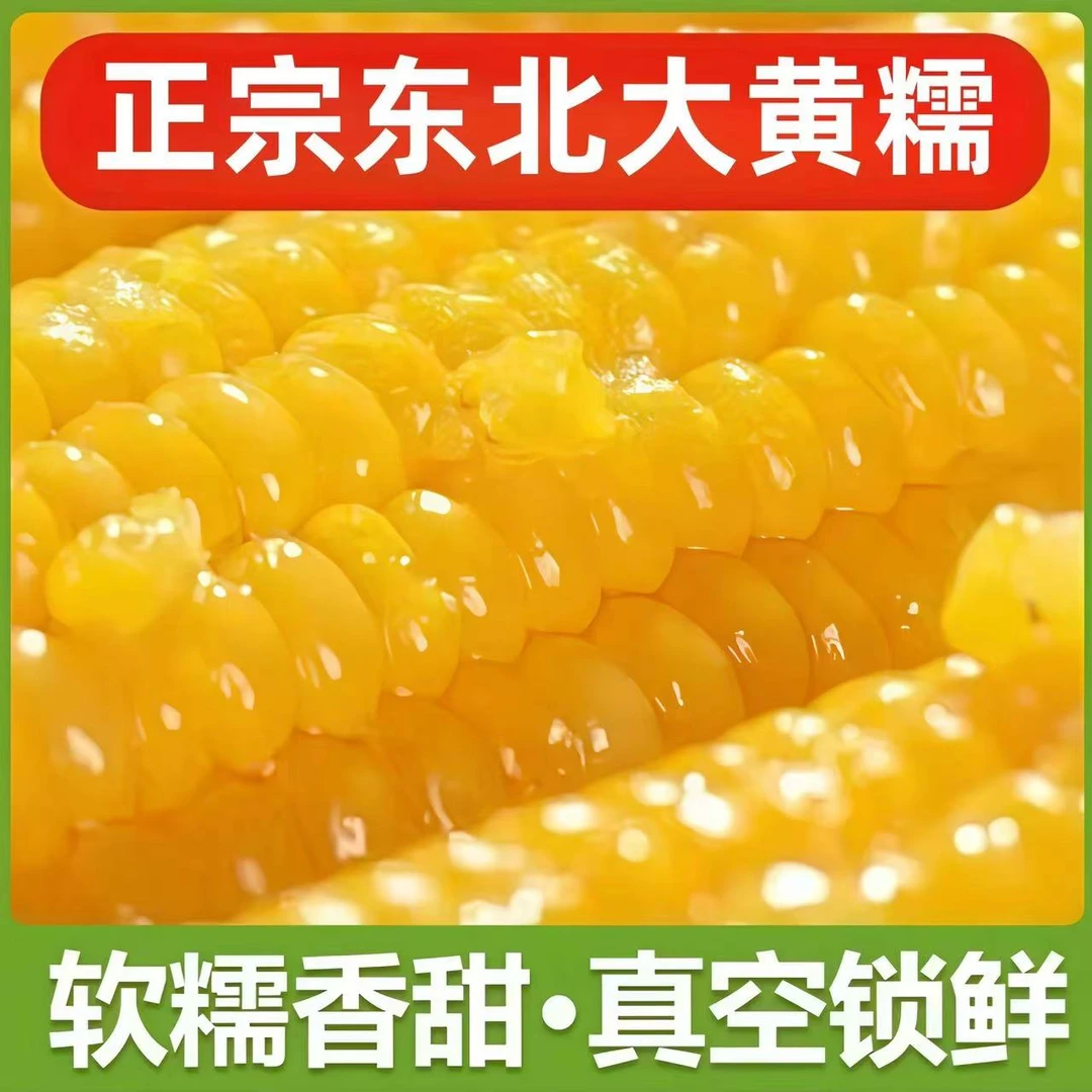 【试吃8根】头茬老式黄玉米大棒新鲜真空包装速食代餐早餐爱媛