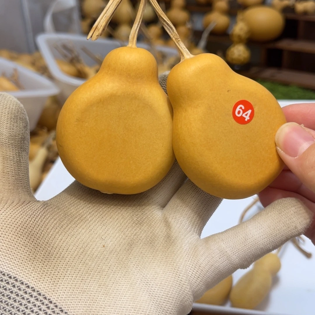 64号闪拍葫芦（价格很低，No退No换）