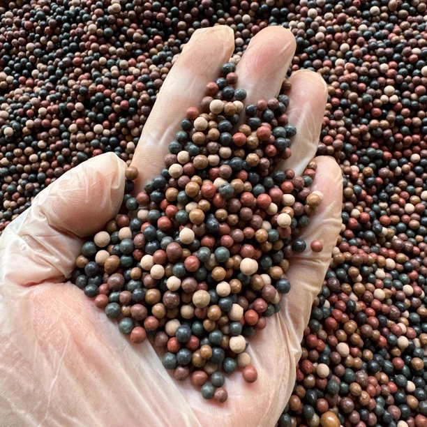 鸽子五色混合保健球鸽子保健砂