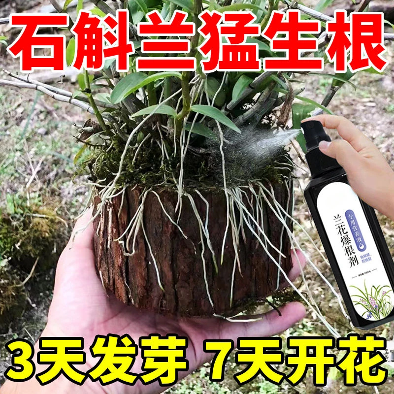 【一喷猛长】石斛兰营养液铁皮石斛生根发芽专用肥料催花盆栽花肥