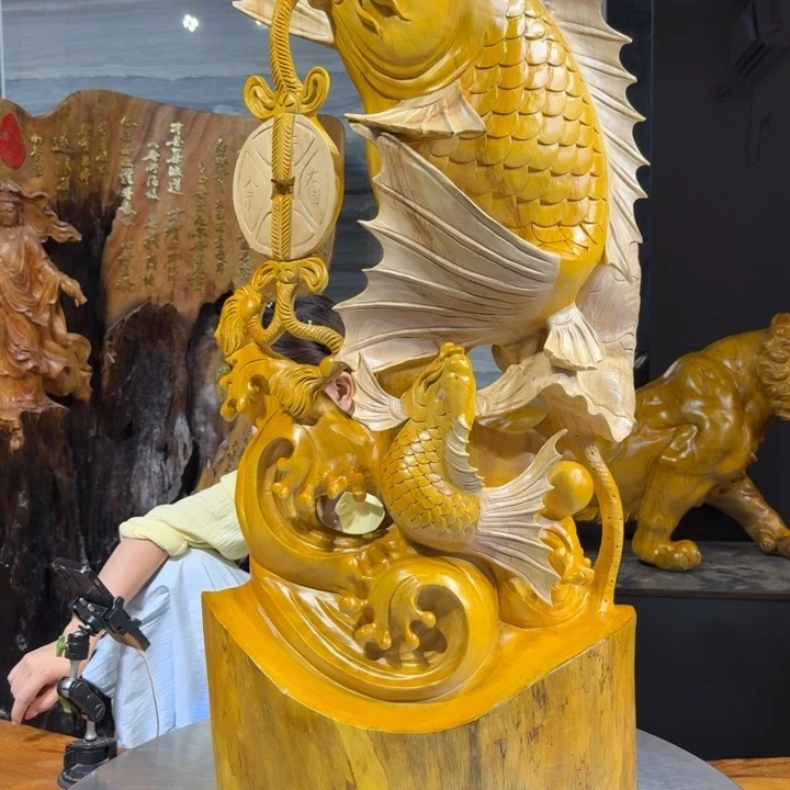 香樟木崔****赁长48厘米高98