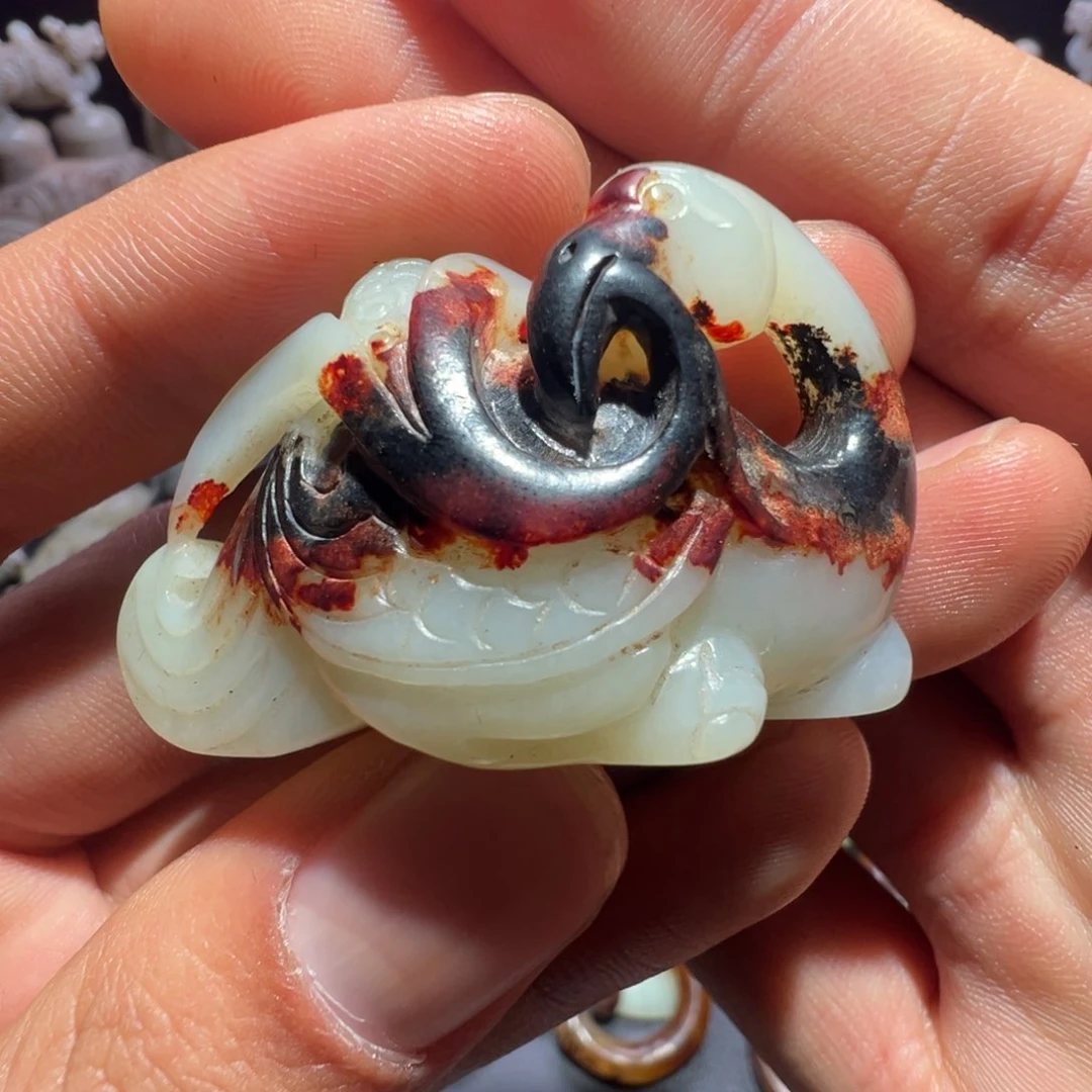 盘鲲*7h l ru cu bu ku ku j j