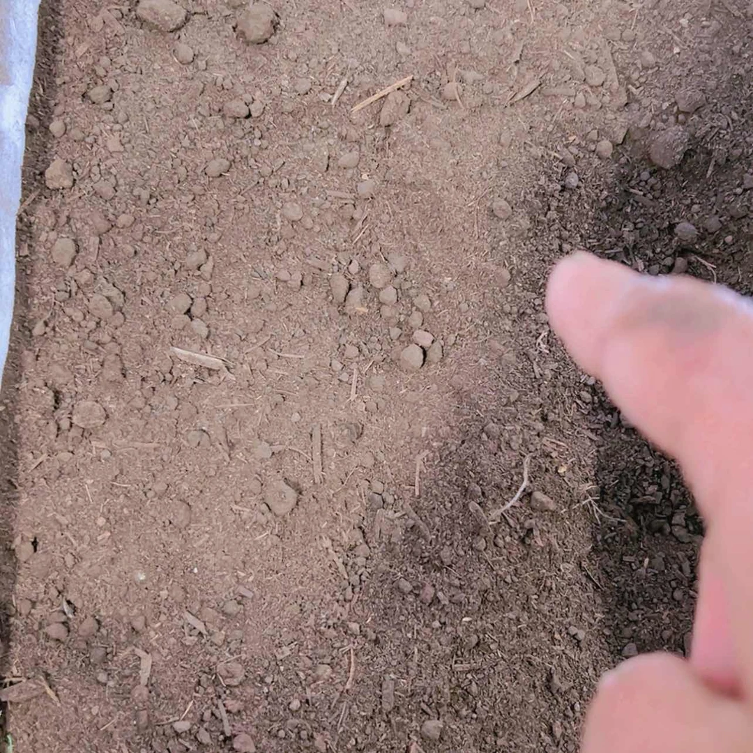 【闪购商品】发小养分12.8多肉