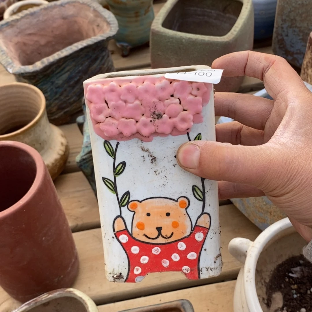 红陶小*100号多肉盆一个呀