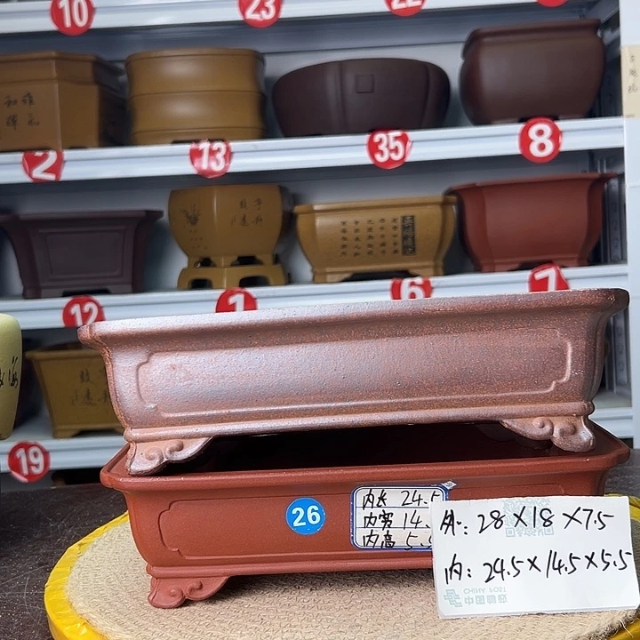 花盆紫砂蛇年大吉