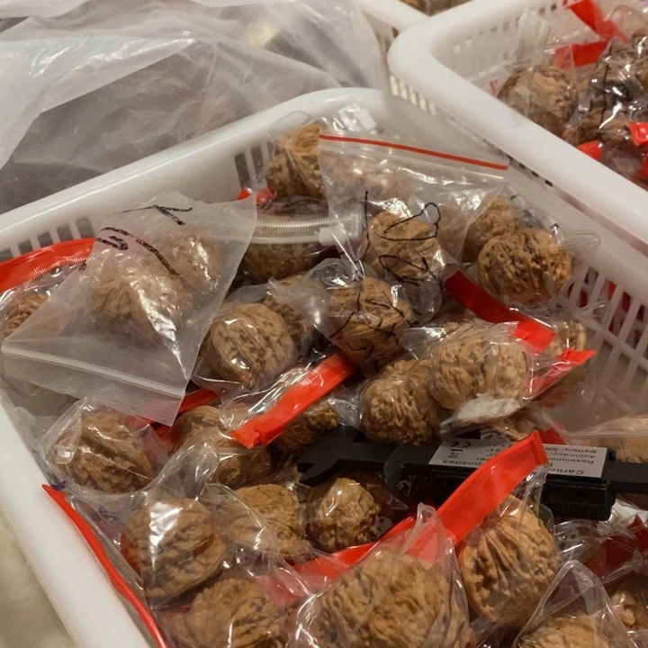 文玩核桃吊坠磨盘