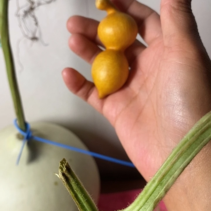 葫***生青皮腰子葫芦手把件