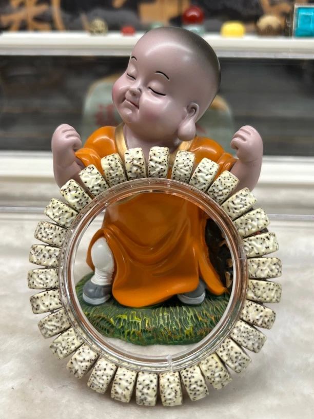 12龙鳞金轮海南原生态星月菩提