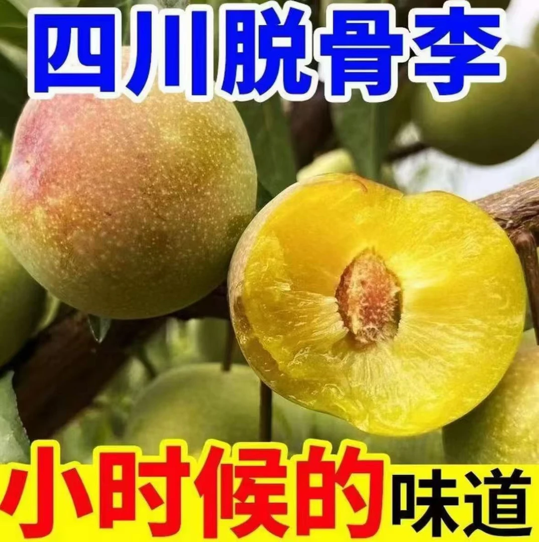 【正宗四川半边红】脱骨青红脆李新鲜应季水果脆甜多汁爽口肉厚