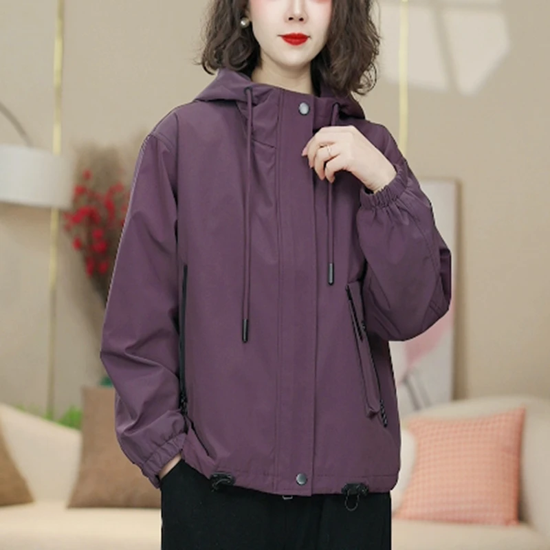 2025新款外套女士短款春季韩版休闲百搭防风防水风衣女连帽8027