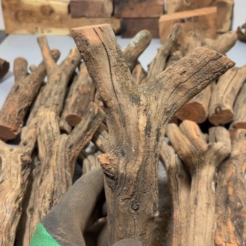 大果紫檀（缅甸花梨）老****装