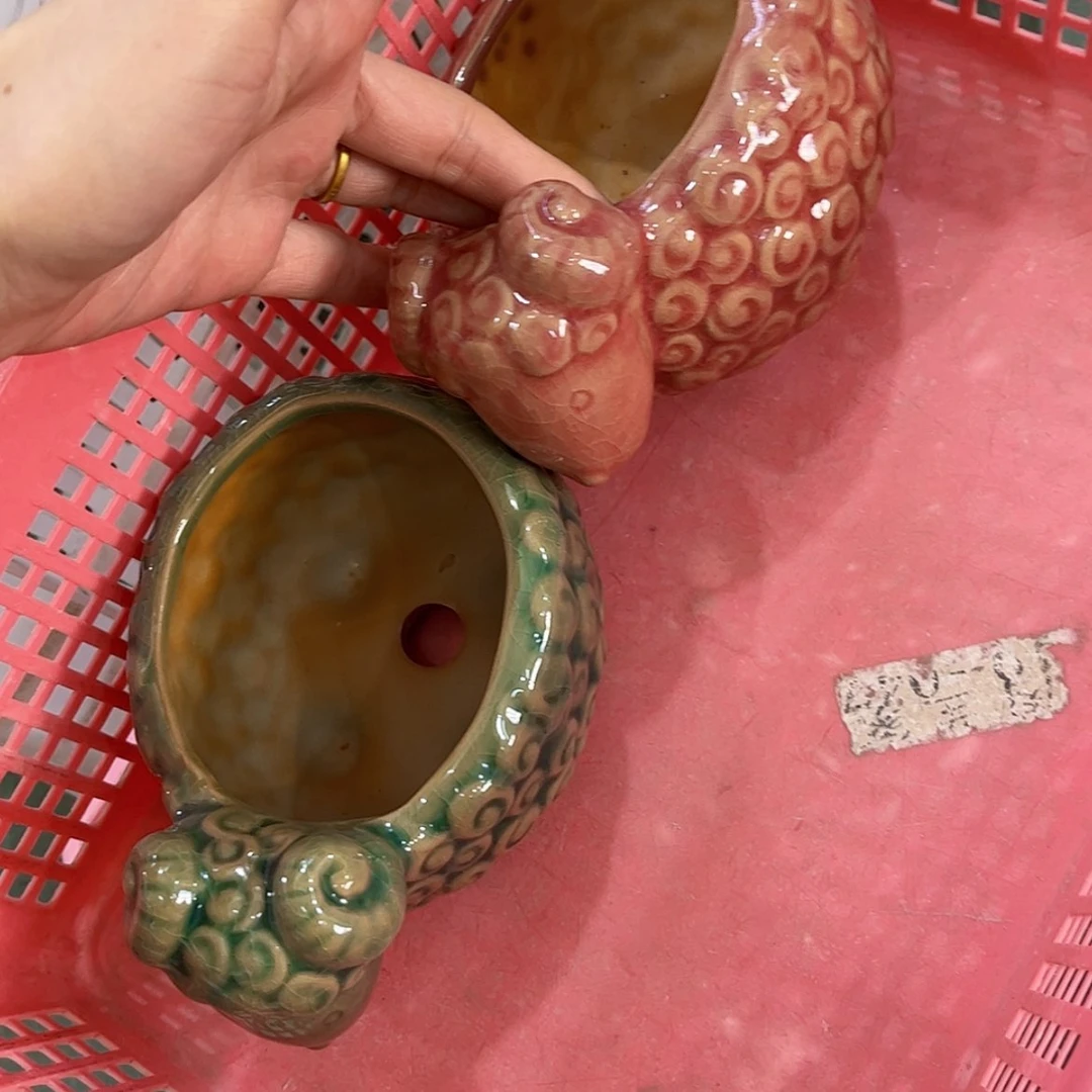 【闪购商品】红陶福利