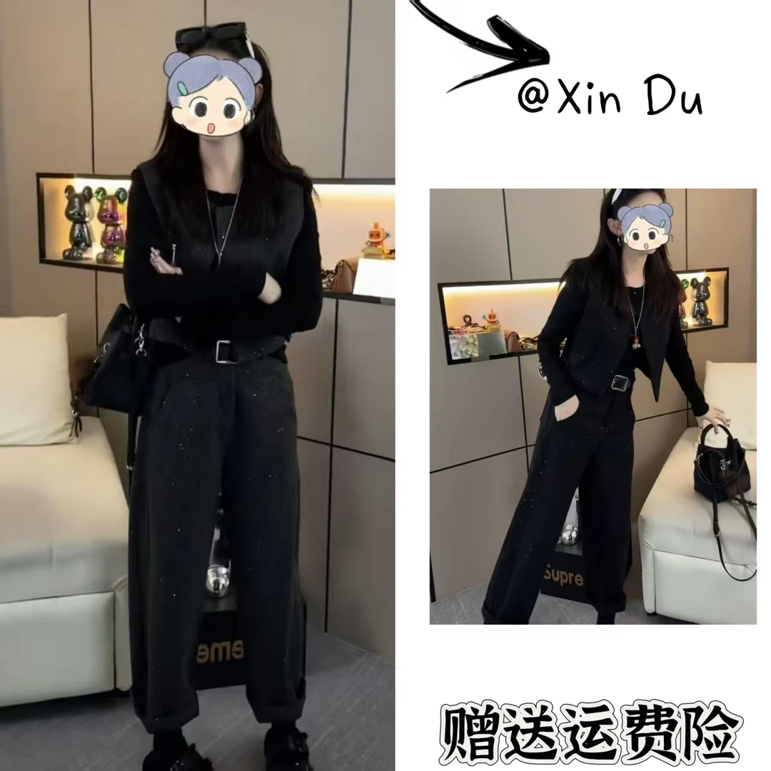 2025秋冬季新款时尚显瘦气质女士网红洋气三件套百搭款D25274