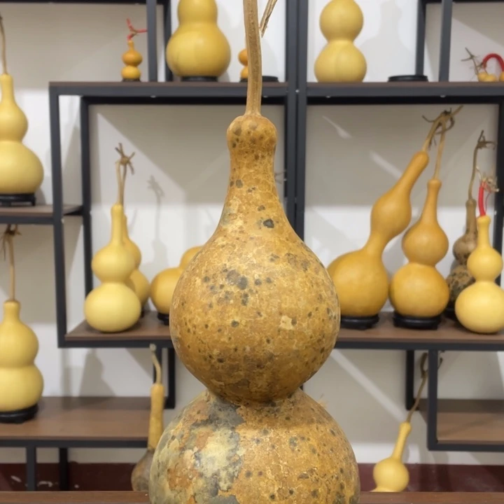 ****乐46肚大花皮长嘴葫芦