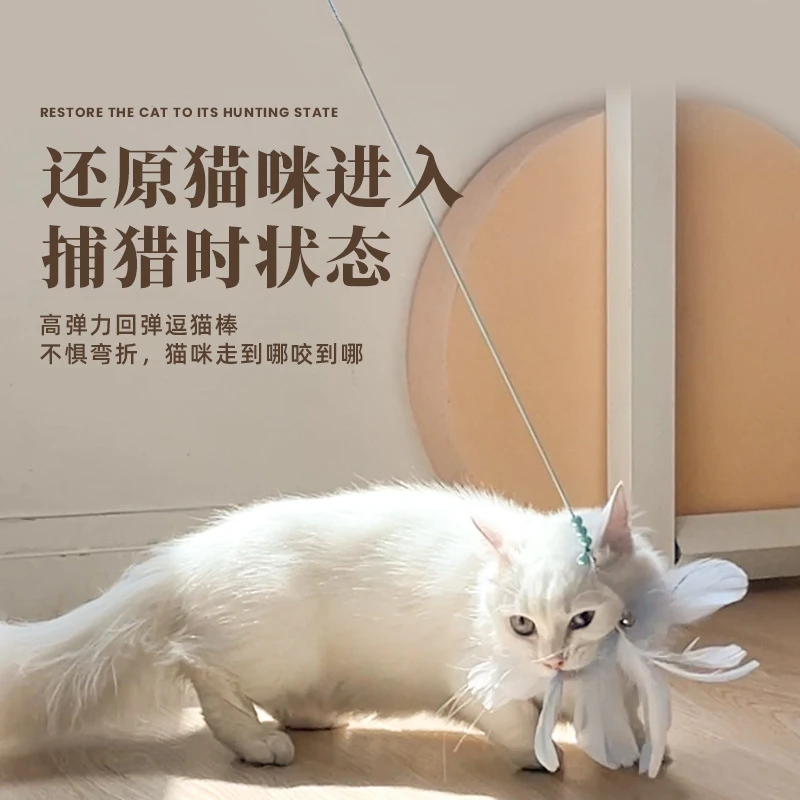 网红猫咪仙女逗猫棒两件套长杆羽毛钢丝玩具耐咬带铃铛自嗨