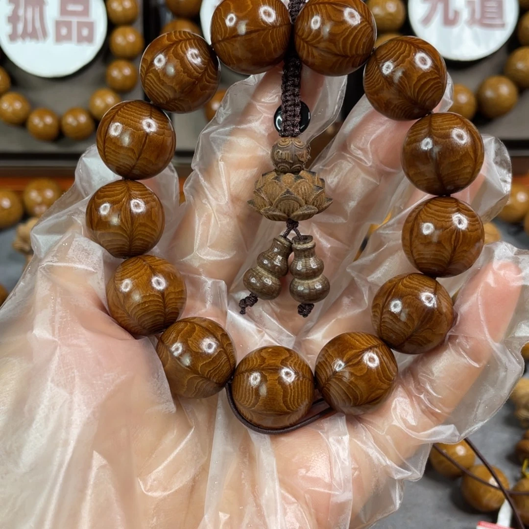 六道木枯树， 精品1.8