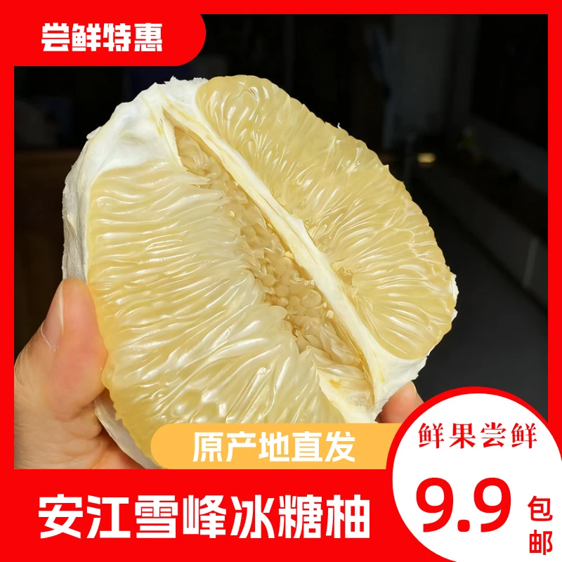 湖南怀化冰糖柚小苦柚小药柚产地直发3斤±0.1安江柚子