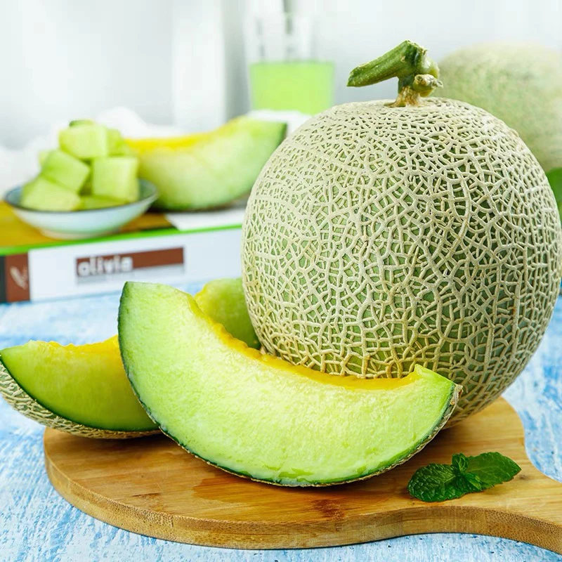 【新疆包邮】冰淇淋甜瓜网纹新鲜现摘应季水果冰淇淋蜜瓜毛重6斤