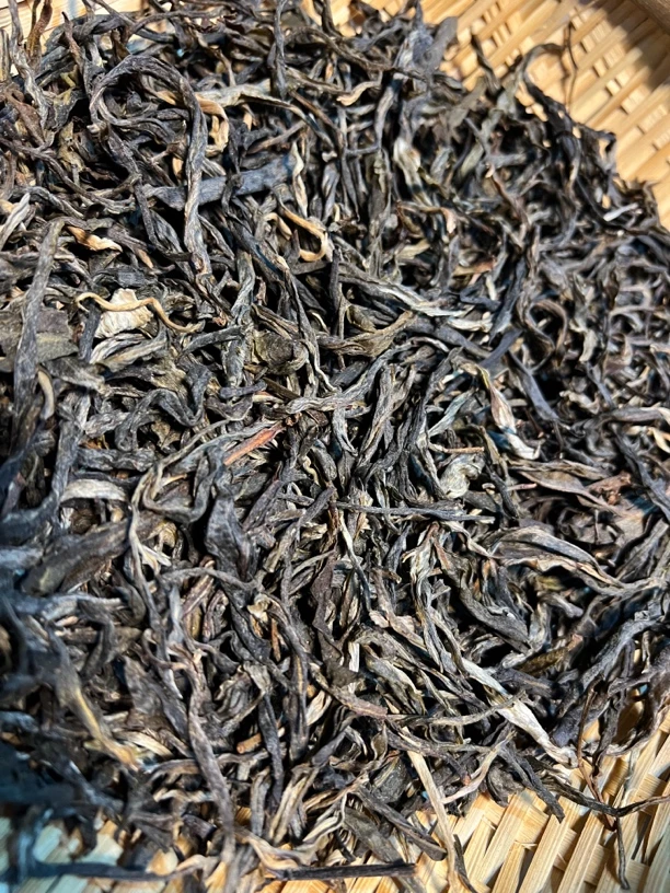 忙卖古树纯料普洱茶生茶500克