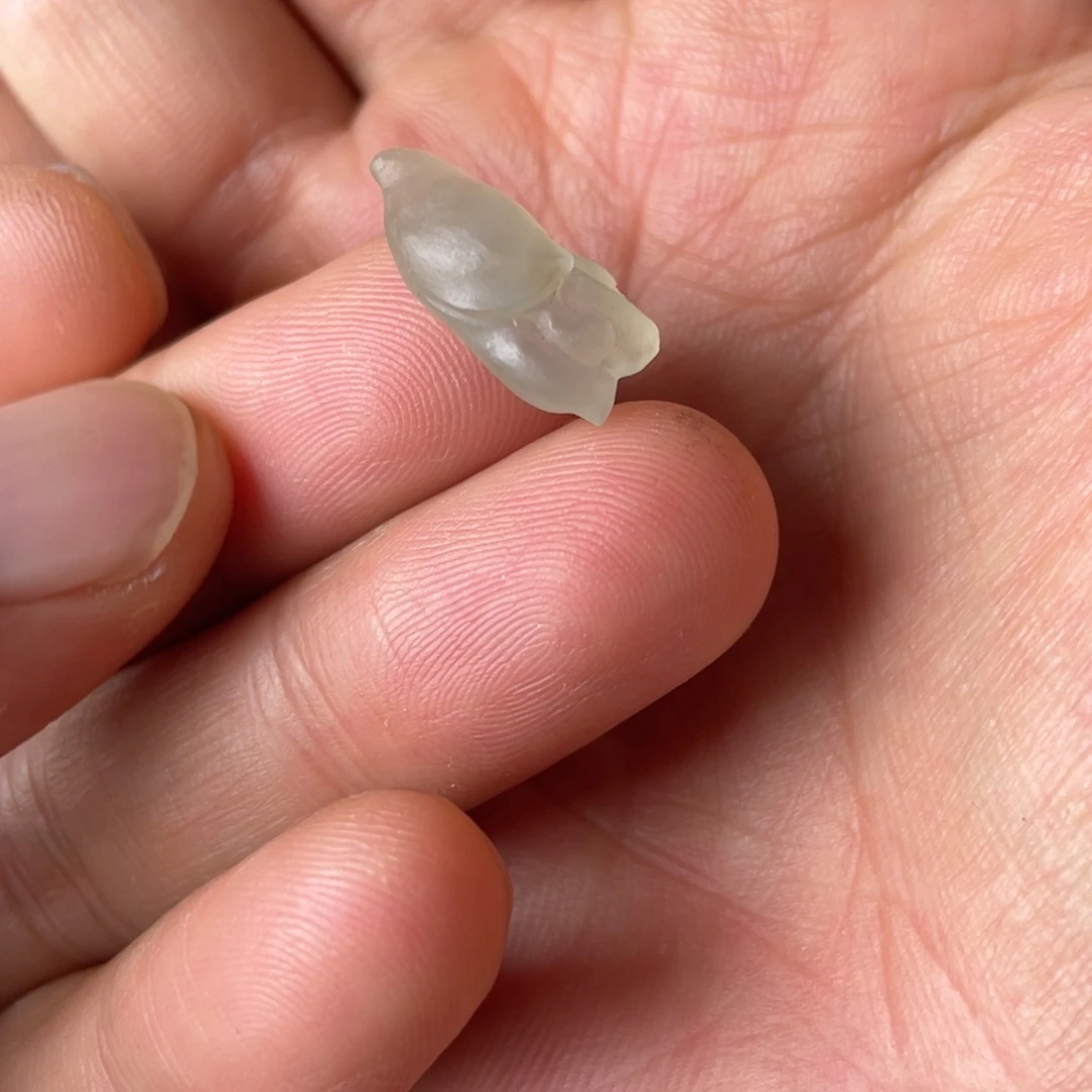 定制翡翠未镶嵌玉兰花