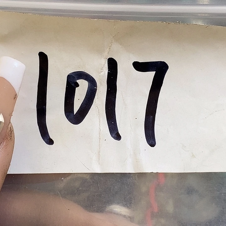 1***1最美古村专属链接