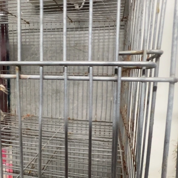 打包运输笼子驼色笼子