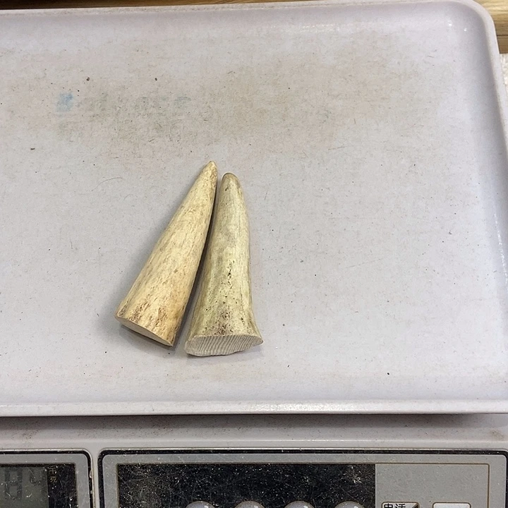 明***口中国大陆鹿角盘玩手把件