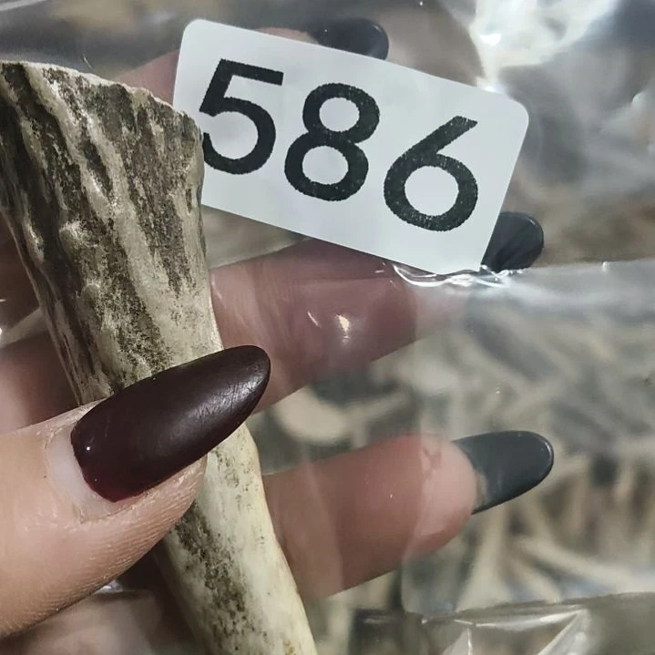 蔚***空鹿角鹿角鹿角鹿角鹿角鹿角