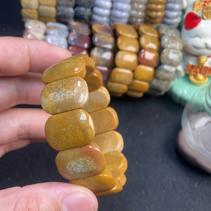 硅化珊瑚（珊瑚玉）手镯未镶嵌