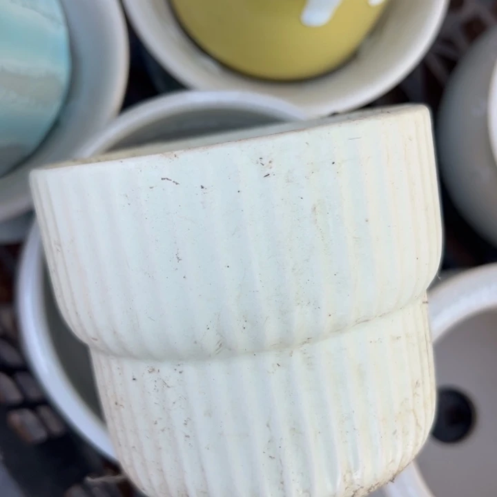 新疆包邮 特价花盆一只