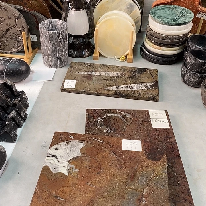 大***游角石菊石化石茶盘