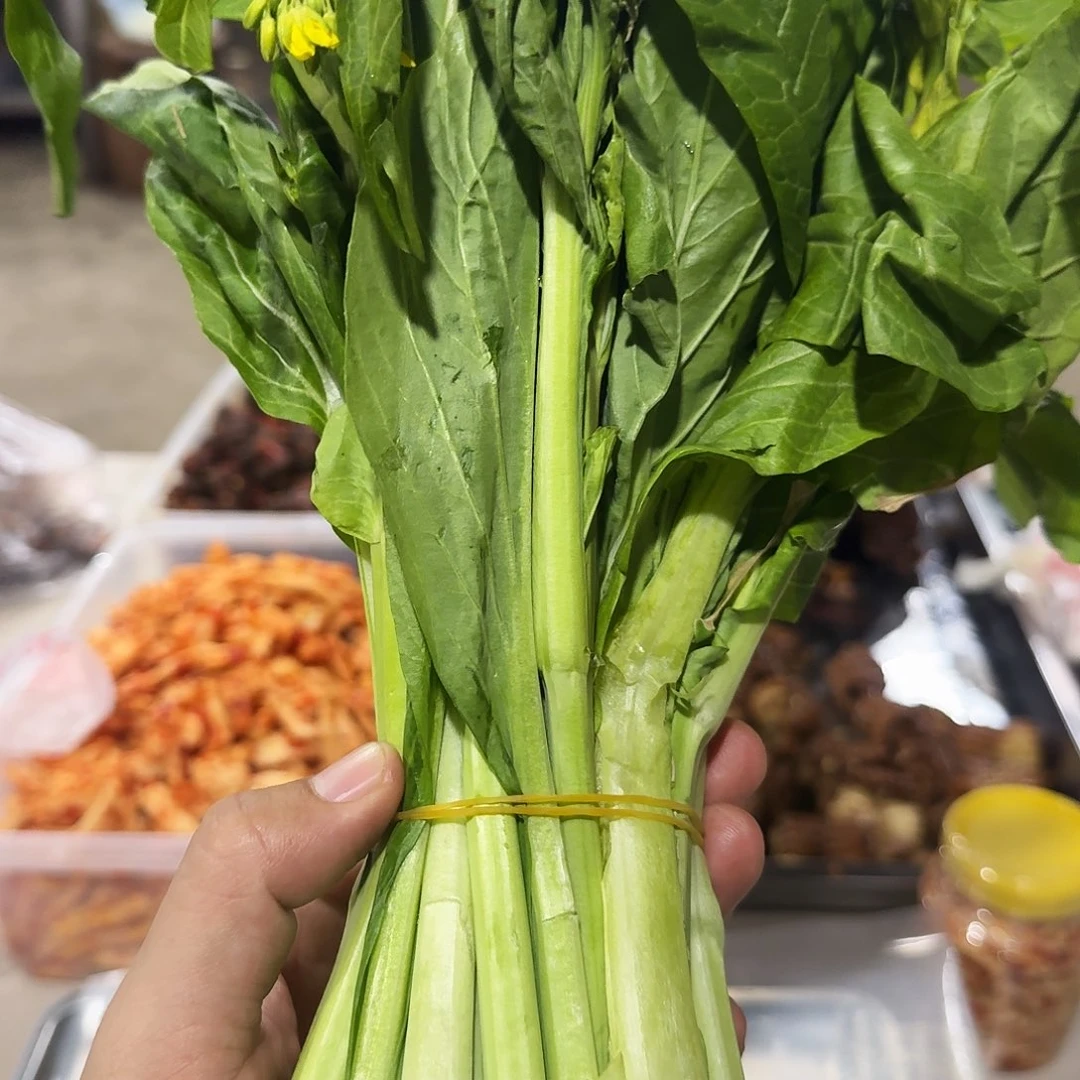 s***素白菜中国大陆她的