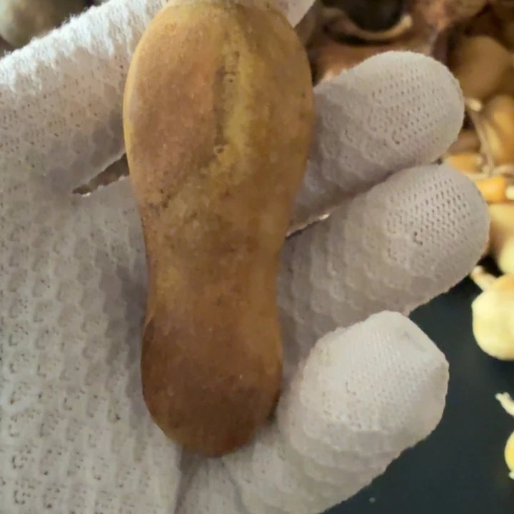 小***萝66666666666666666