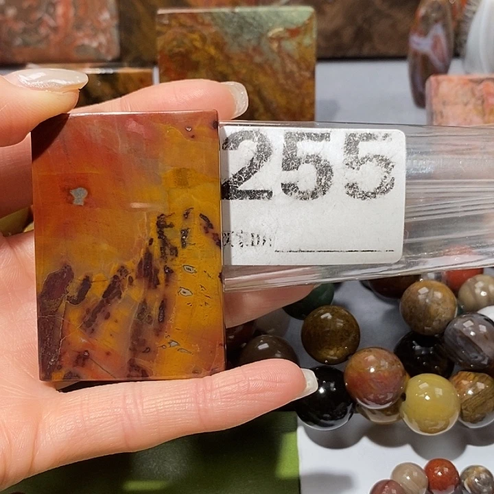 硅化玉未镶嵌天然北票树化玉吊坠